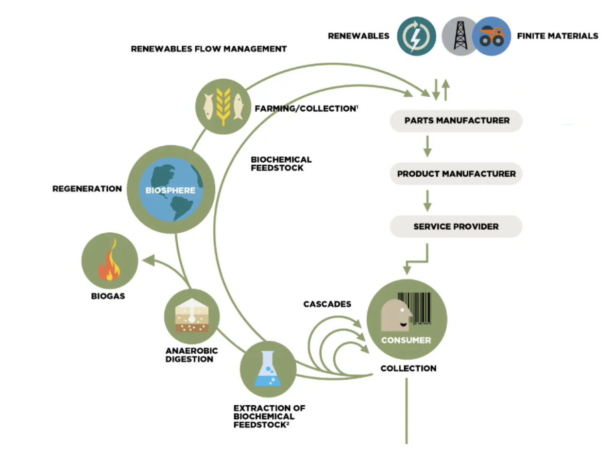 Ellen MacArthur Foundation (2019), Circular economy systems diagram.