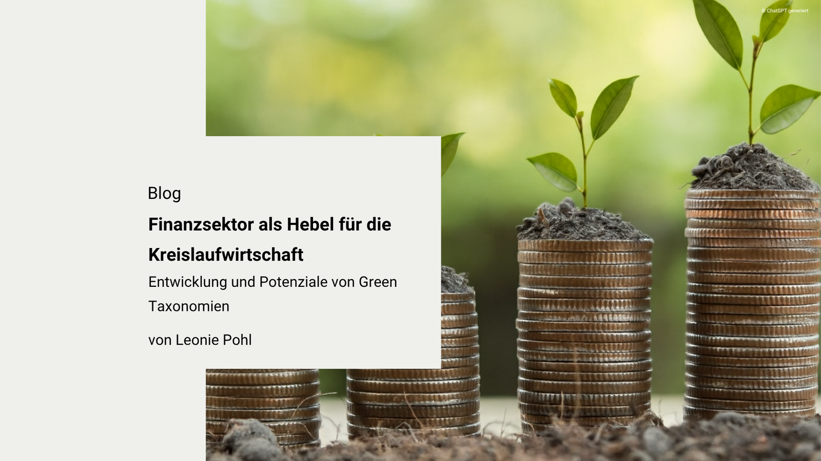 Der Finanzsektor als Hebel für die Kreislaufwirtschaft: Entwicklung und Potenziale von Green Taxonomien