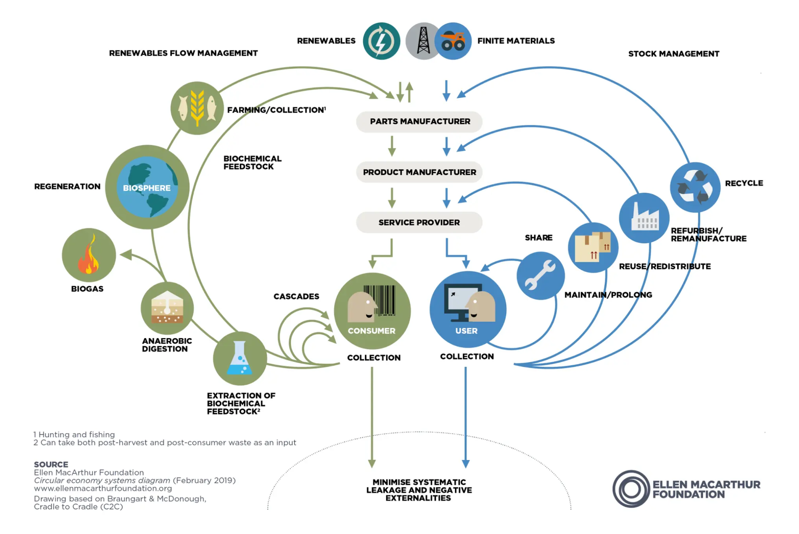Butterfly diagram illustrating the circular economy model