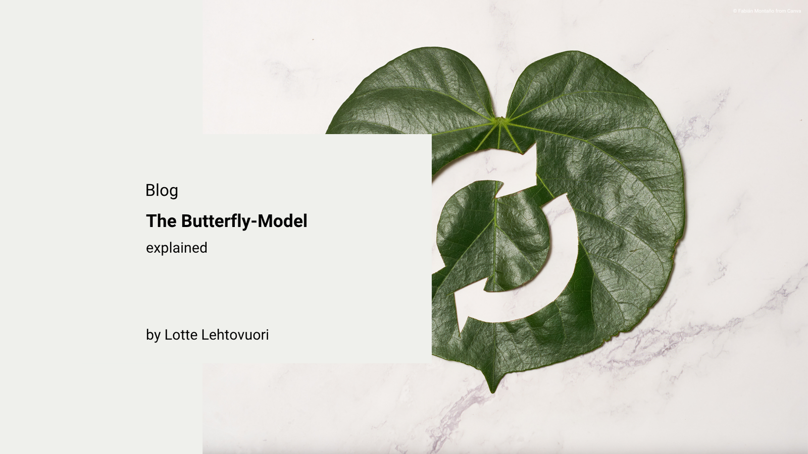 THE BUTTERFLY MODEL