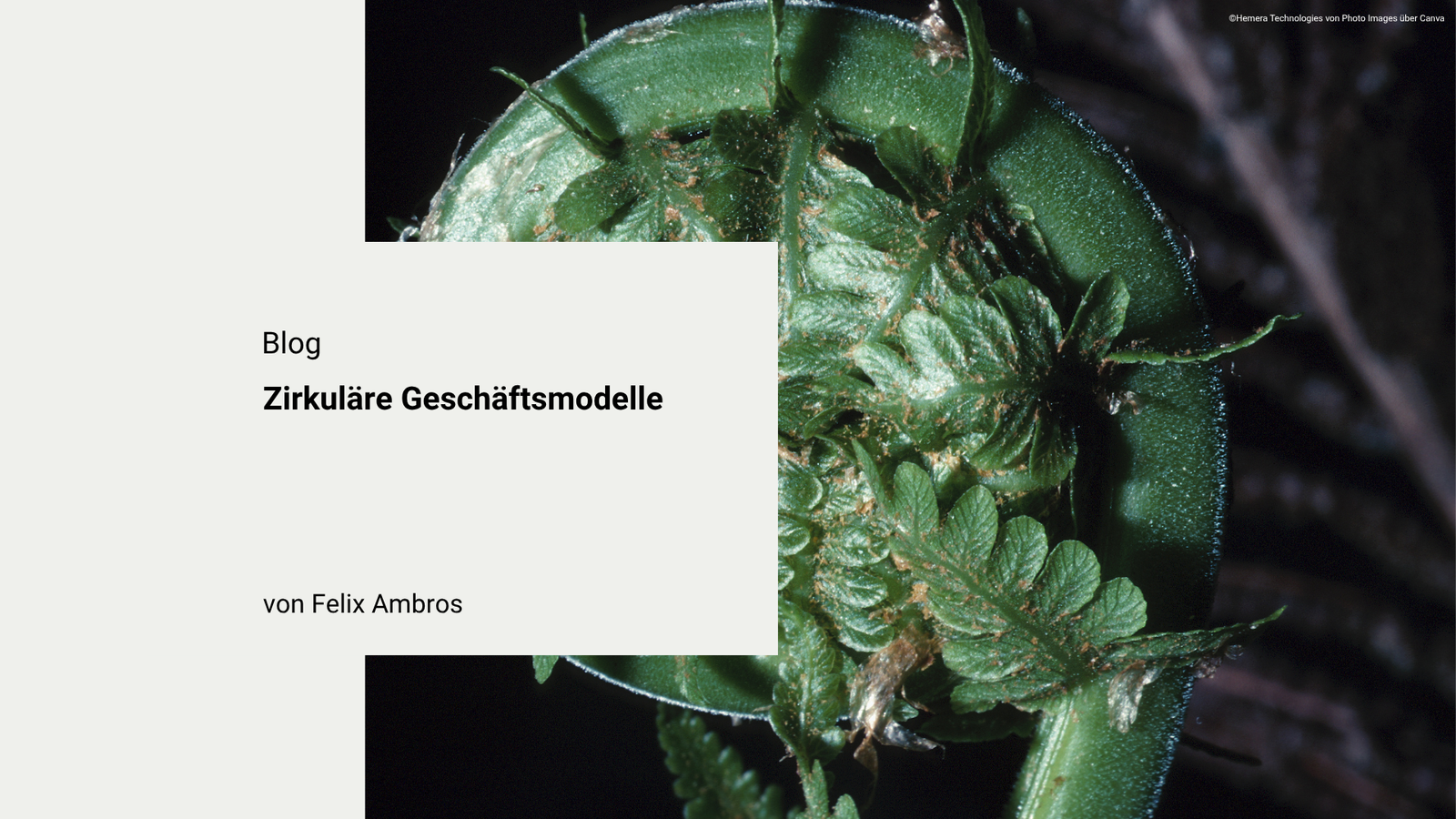 Zirkuläre Geschäftsmodelle