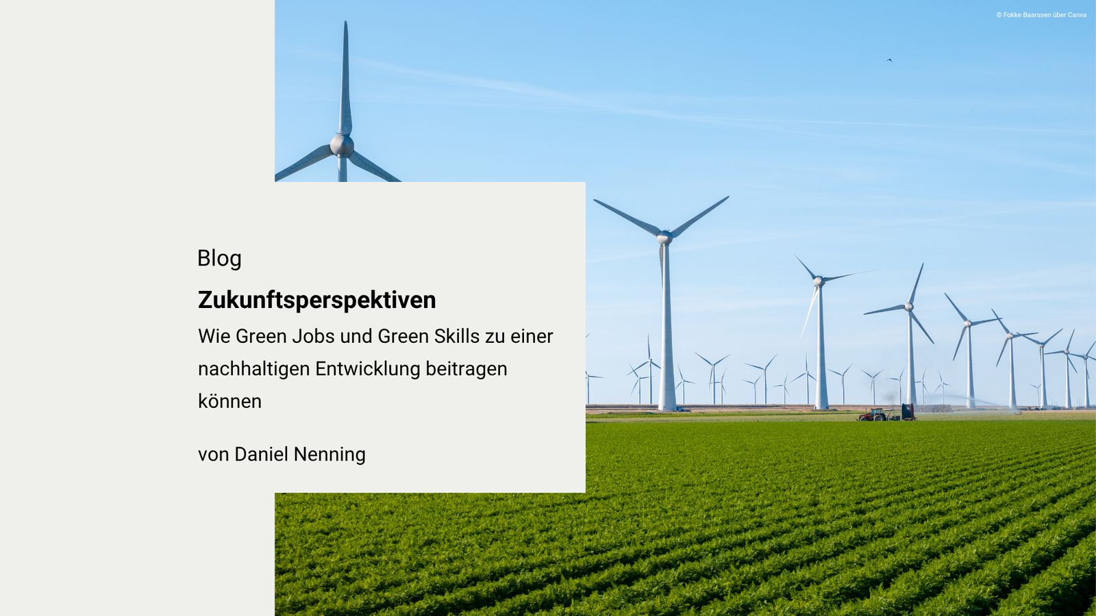 Zukunftsperspektiven: Wie Green Jobs und Green Skills zu einer nachhaltigen Entwicklung beitragen können